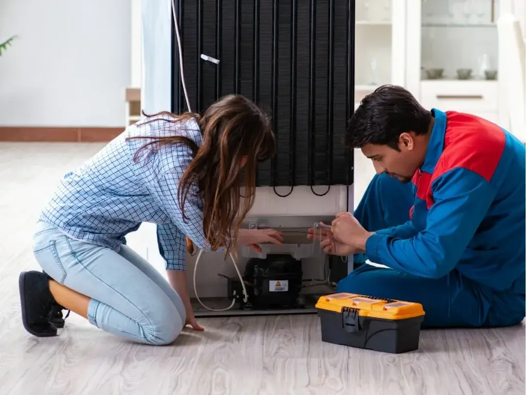Fridge Appliance Repair